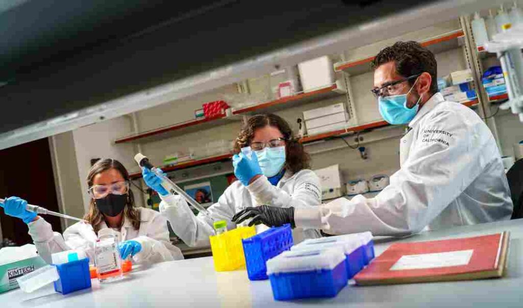 Technology and Wellness: The Future of Health Supplement Manufacturing